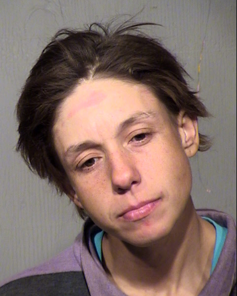TRISHA VALERIE MCCOLMAN Mugshot / Maricopa County Arrests / Maricopa County Arizona