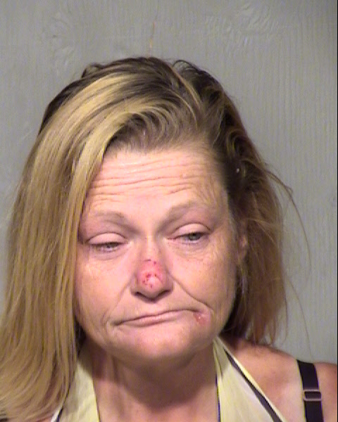 CAROL J LYNN Mugshot / Maricopa County Arrests / Maricopa County Arizona