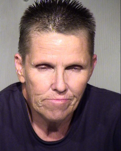 RENEE MARY BLAKELY Mugshot / Maricopa County Arrests / Maricopa County Arizona