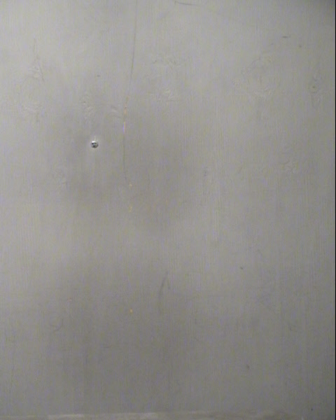 SHARACA LATRESE WARD Mugshot / Maricopa County Arrests / Maricopa County Arizona