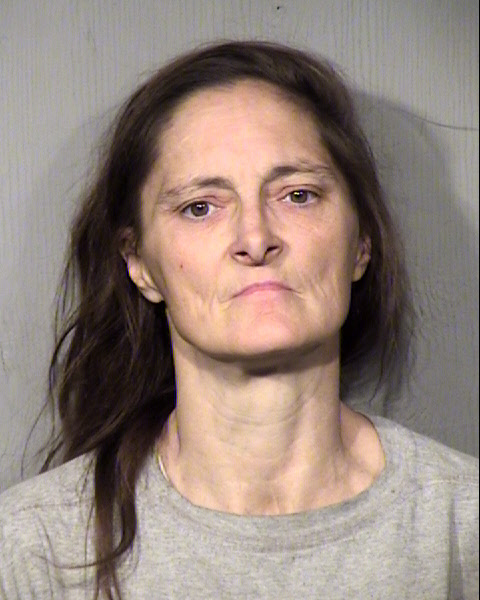 TERESA LYNN HAMILTON Mugshot / Maricopa County Arrests / Maricopa County Arizona