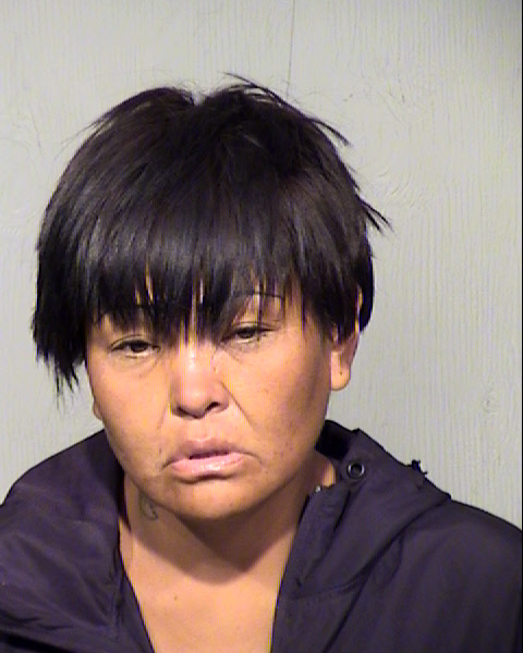 TAMARA J DIXSON Mugshot / Maricopa County Arrests / Maricopa County Arizona