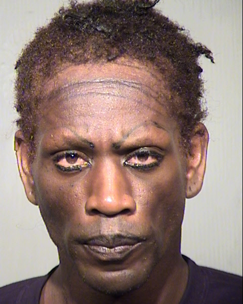 THEODORE LEE COKER Mugshot / Maricopa County Arrests / Maricopa County Arizona
