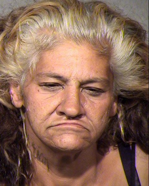 GINA MARIE LANDOLFI Mugshot / Maricopa County Arrests / Maricopa County Arizona