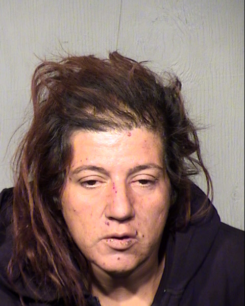 CINDY MARIE RICE Mugshot / Maricopa County Arrests / Maricopa County Arizona