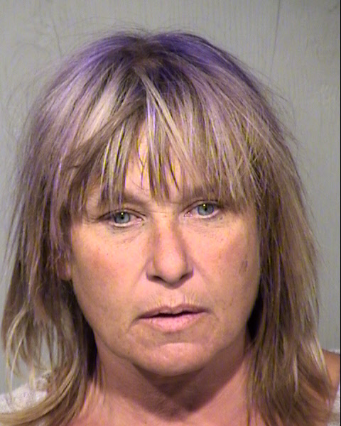 LISA VIRGINIA HESS Mugshot / Maricopa County Arrests / Maricopa County Arizona