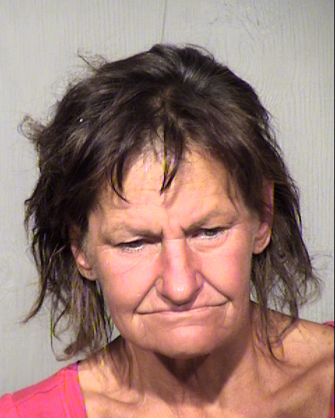 SUSAN ANN VADOVICH Mugshot / Maricopa County Arrests / Maricopa County Arizona