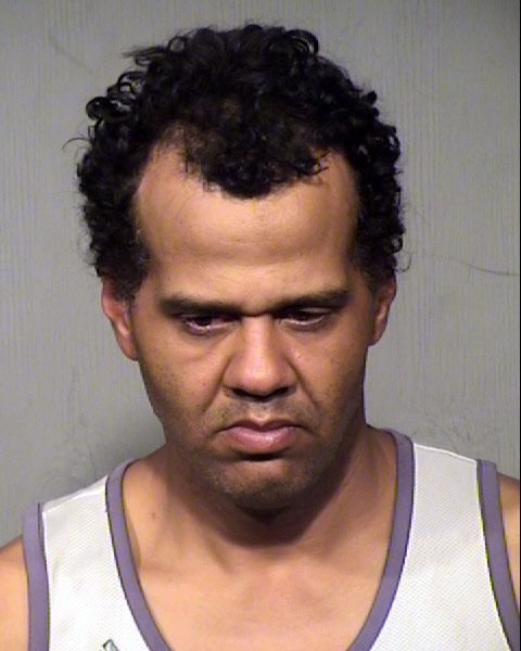 STEVEN MICHAEL SNEZEK Mugshot / Maricopa County Arrests / Maricopa County Arizona