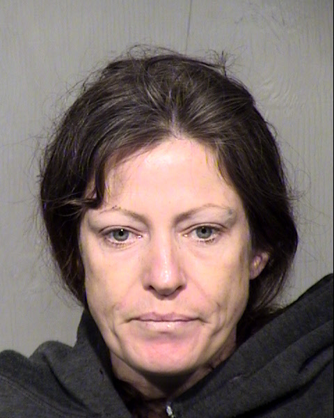 AMYLEA CATHERINE SNELSON GARCIA Mugshot / Maricopa County Arrests / Maricopa County Arizona