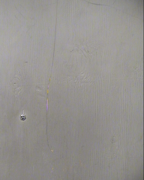 SHELAGH F EDMONDSON Mugshot / Maricopa County Arrests / Maricopa County Arizona