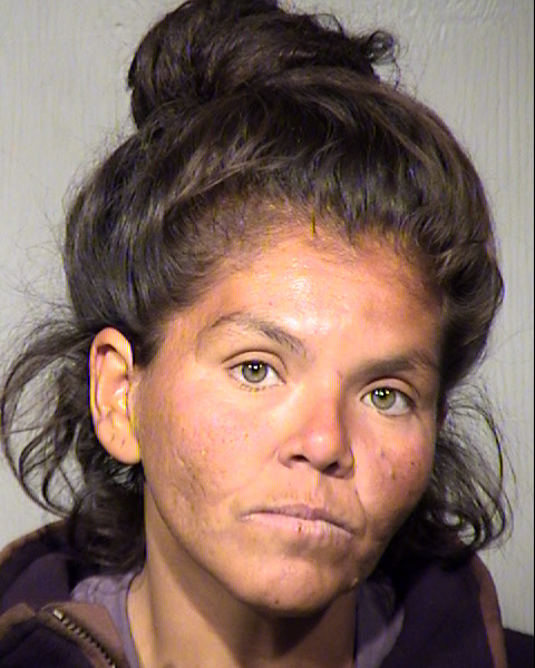 ANA R MENDOZA PINA Mugshot / Maricopa County Arrests / Maricopa County Arizona