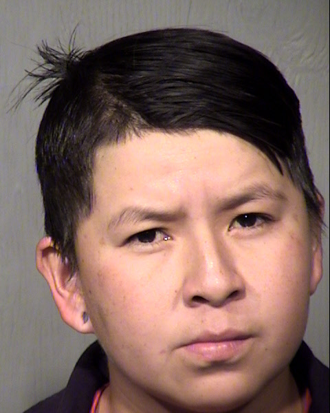 ANGELINE SHANICE YAZZIE Mugshot / Maricopa County Arrests / Maricopa County Arizona