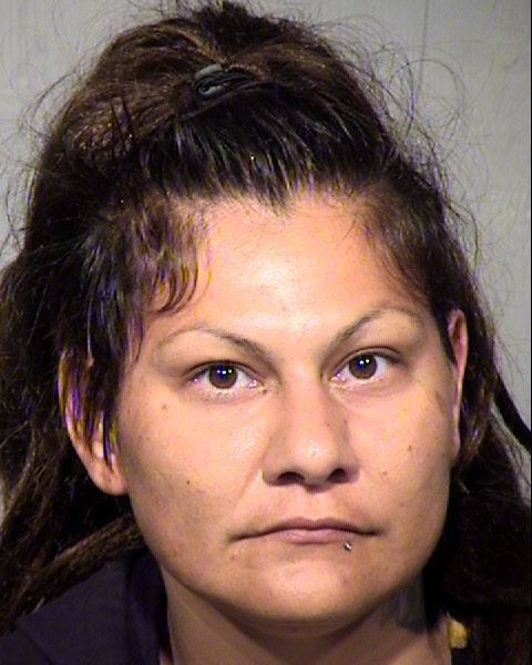 LAURIE LEECINA SIMMONS Mugshot / Maricopa County Arrests / Maricopa County Arizona