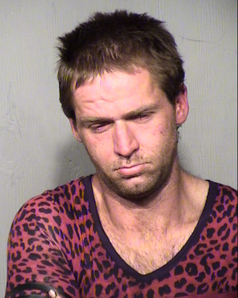 JOSHUA JAMES WINFIELD Mugshot / Maricopa County Arrests / Maricopa County Arizona