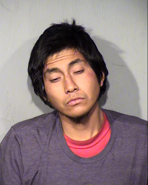 ANTHONY VICENTI SHANE Mugshot / Maricopa County Arrests / Maricopa County Arizona