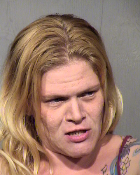 BROOKE ELAINE HIGGINBOTHAM Mugshot / Maricopa County Arrests / Maricopa County Arizona