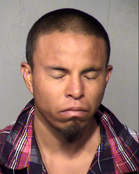 QUINN J LIVINGSTON Mugshot / Maricopa County Arrests / Maricopa County Arizona