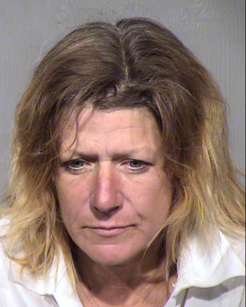 TARA L TURCOTTE Mugshot / Maricopa County Arrests / Maricopa County Arizona