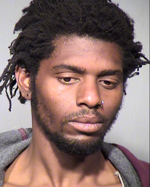 ROBERT WILSON GREGORY Mugshot / Maricopa County Arrests / Maricopa County Arizona