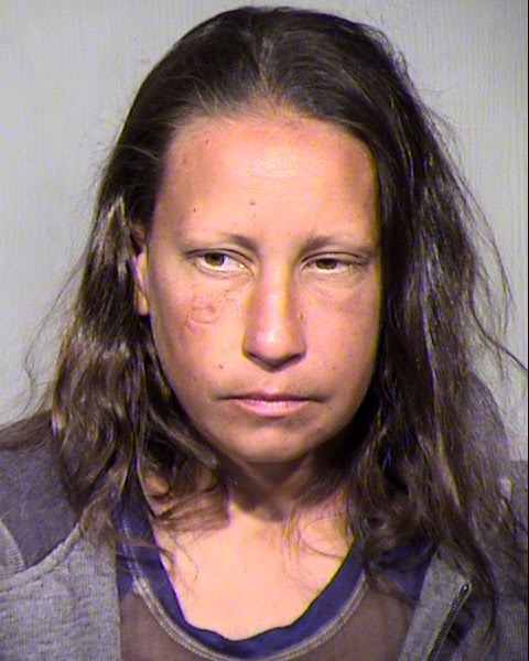 LYNSEY CAROLINE ANDERSON Mugshot / Maricopa County Arrests / Maricopa County Arizona