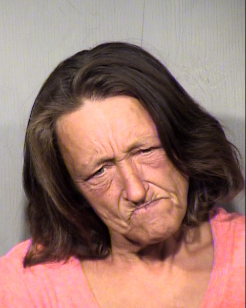 DIANA LYNN REECE Mugshot / Maricopa County Arrests / Maricopa County Arizona