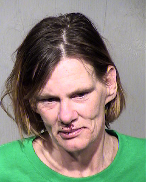 LAURA WILLIAMS Mugshot / Maricopa County Arrests / Maricopa County Arizona