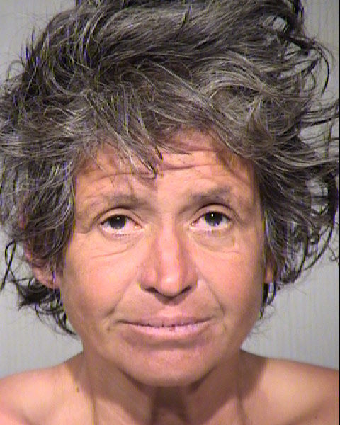 MARIAN S MINIER Mugshot / Maricopa County Arrests / Maricopa County Arizona