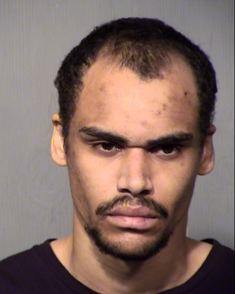 ELIJAH J HANNAH Mugshot / Maricopa County Arrests / Maricopa County Arizona