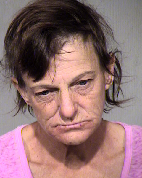 KIMBERLY ANN HAUVER Mugshot / Maricopa County Arrests / Maricopa County Arizona