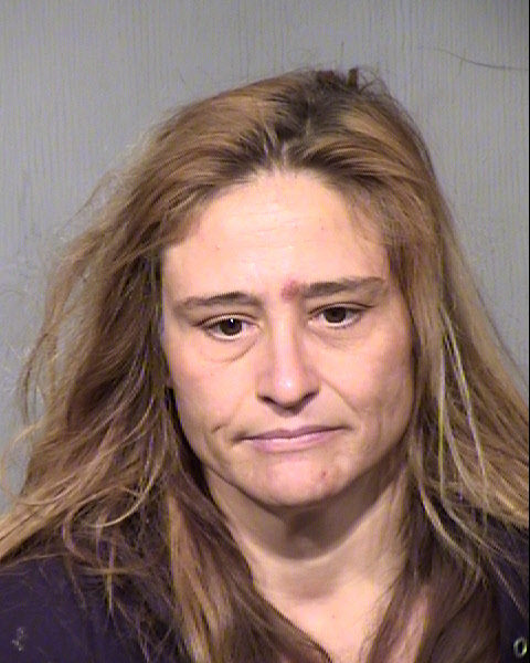 TRACY NELIE HETTINGER Mugshot / Maricopa County Arrests / Maricopa County Arizona