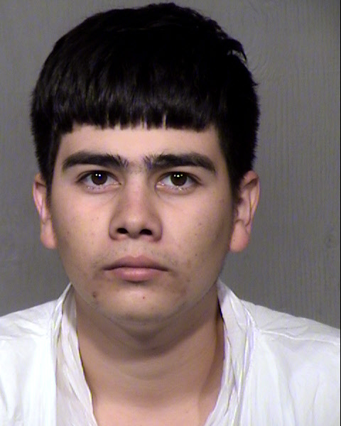 IDELFONSO CASTILLO DEL REAL Mugshot / Maricopa County Arrests / Maricopa County Arizona