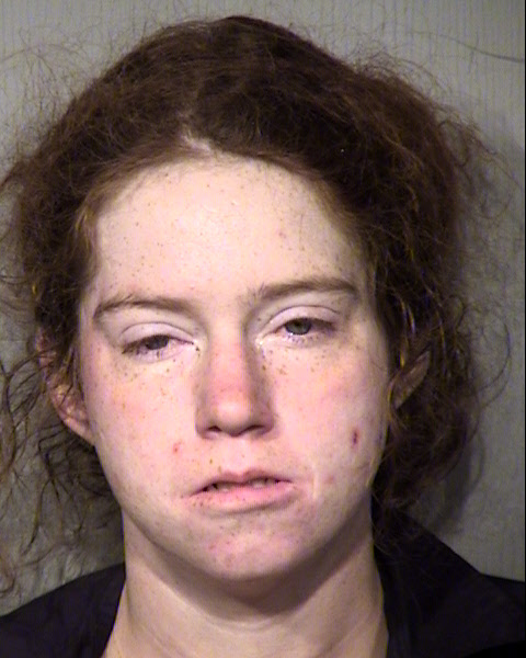 AMANDA SUE MARTIN-CLARK Mugshot / Maricopa County Arrests / Maricopa County Arizona