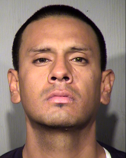 TERRY MARK JOHNSON Mugshot / Maricopa County Arrests / Maricopa County Arizona