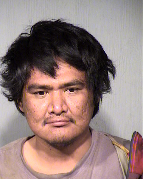 GABRIEL STEVEN FRED Mugshot / Maricopa County Arrests / Maricopa County Arizona