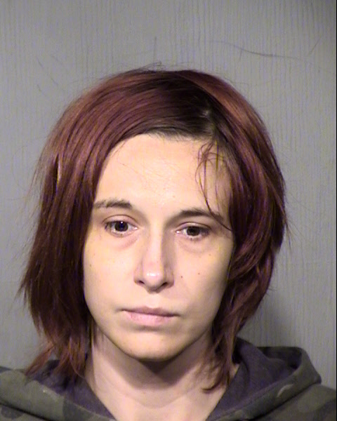 MELISSA KAY FISHER Mugshot / Maricopa County Arrests / Maricopa County Arizona