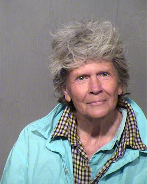 SALLY JUNE SMITH Mugshot / Maricopa County Arrests / Maricopa County Arizona