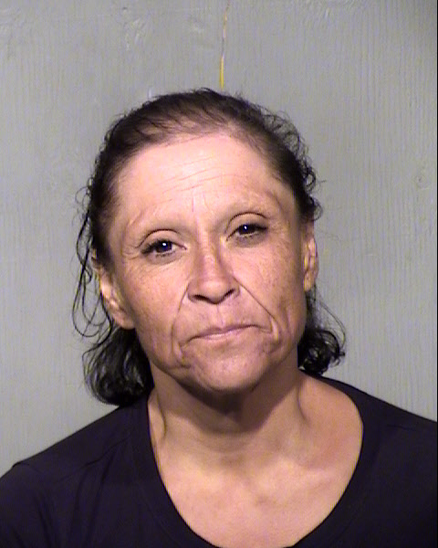 STELLA ARMENTA PRIETO Mugshot / Maricopa County Arrests / Maricopa County Arizona