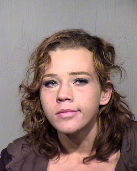 DANNI LEEANN HOLT Mugshot / Maricopa County Arrests / Maricopa County Arizona