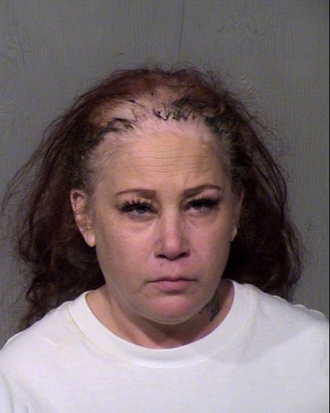 ELIZABETH FIELDS Mugshot / Maricopa County Arrests / Maricopa County Arizona