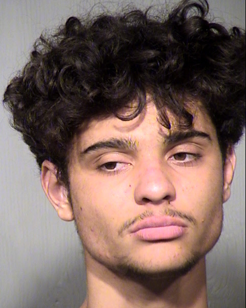 MICHAEL SALEIDO Mugshot / Maricopa County Arrests / Maricopa County Arizona