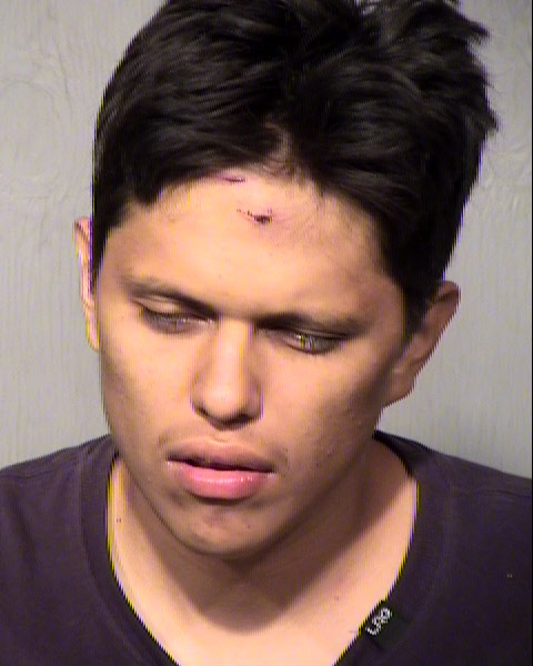 LUIS ALANIS Mugshot / Maricopa County Arrests / Maricopa County Arizona