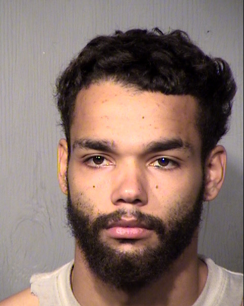 DOMINICK LAWERENCE JOHNSON Mugshot / Maricopa County Arrests / Maricopa County Arizona