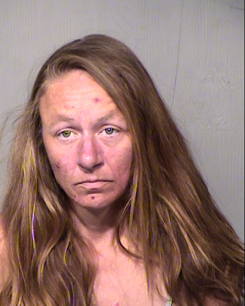 SARA YOUNGBLOOD Mugshot / Maricopa County Arrests / Maricopa County Arizona