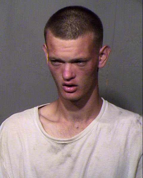 STEVEN D COLLINS Mugshot / Maricopa County Arrests / Maricopa County Arizona