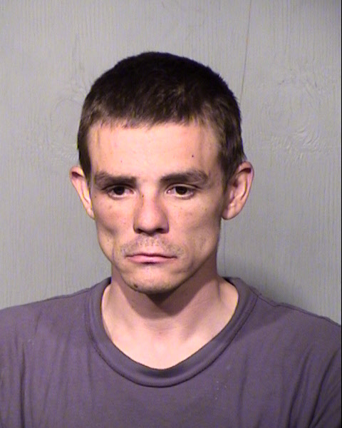 MADISON FLANAGAN Mugshot / Maricopa County Arrests / Maricopa County Arizona