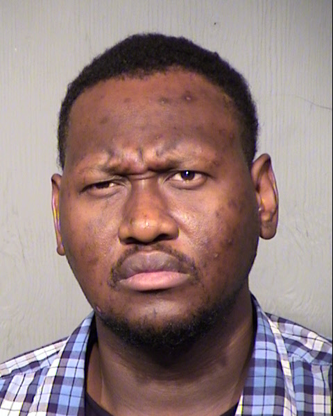 SAMMIE ROBERT HODGES Mugshot / Maricopa County Arrests / Maricopa County Arizona