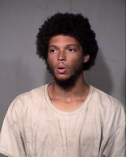 WAYNE C SELLERS Mugshot / Maricopa County Arrests / Maricopa County Arizona