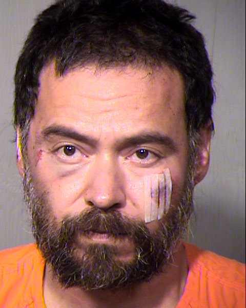 ALFIE ROBERT SILVA Mugshot / Maricopa County Arrests / Maricopa County Arizona