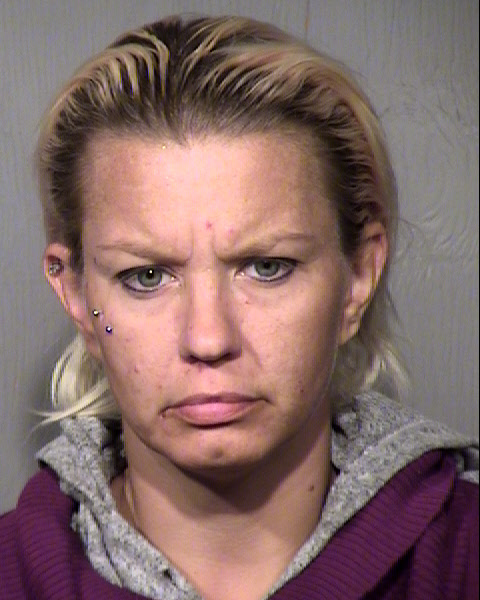 AMANDA MICHELLE CARTER Mugshot / Maricopa County Arrests / Maricopa County Arizona