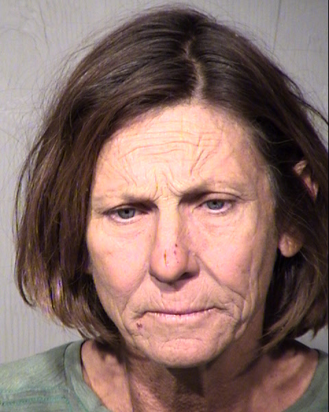 MERRY D FOWLER Mugshot / Maricopa County Arrests / Maricopa County Arizona